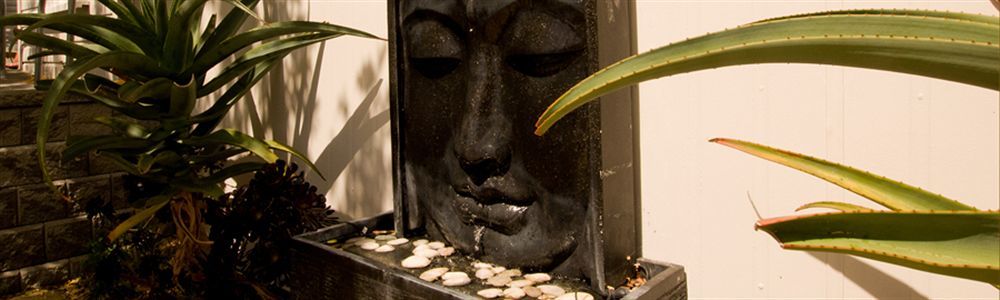 Lantana Lodge Окленд Экстерьер фото